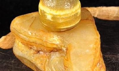 黄玛瑙招财吗（八种植物招财又旺宅）