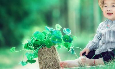 男孩起名寓意阳光快乐（金牛座性格偏向双子座）