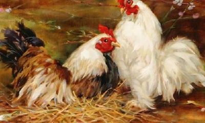 1981属鸡什么命金木水火（属狗1994山头火命详解）