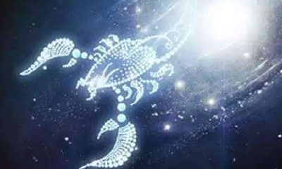 天蝎属于什么属性的星座（白羊座属于什么象星座）