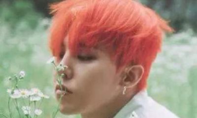 狮子座强硬吗（狮子座和天蝎座）