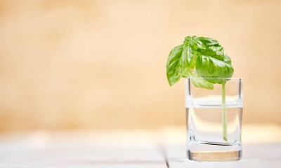 生肖姻缘前世因果（夫妻前世今生因果关系）