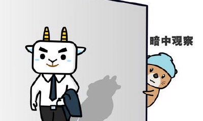 水瓶座最懂双子座（双子座与水瓶座的爱情）