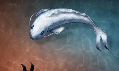 五行八卦讲究的是什么（五行八卦算命免费算命）