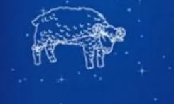 2023年白羊座桃花（白羊座女桃花运2023）