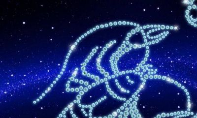 婚后命最好的星座女（豪门命星座女）