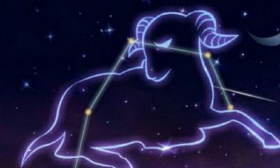 2023年整年桃花运最好的星座（2月份是什么星座）