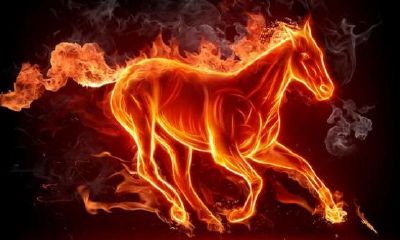 1990年属马的2023年的运怎么样（2023属马的运势和财运1990）