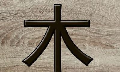 属羊的五行缺木怎么办（79年属羊什么命五行缺什么）