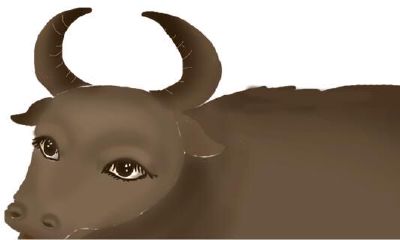 属牛男婚配什么最佳（男属牛最佳配偶属相）