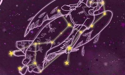 狮子座和天蝎座谁的占有欲更强（狮子座为什么喜欢天蝎座）