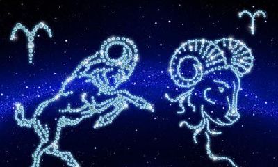 白羊座男对老婆冷淡（白羊座男突然变冷淡）