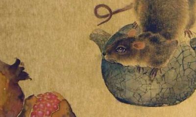 1936年属鼠寿终（36年属鼠人的寿命）