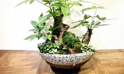 财位墙上有镜子怎么化解（镜子对着财位如何化解）