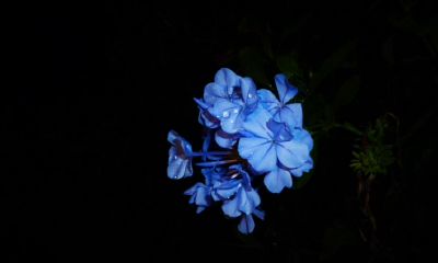 注定有缘分的两个人（八字看你命中注定的丈夫）