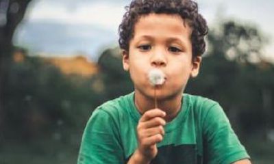 属牛的男孩小名大全（属牛的小名叫什么好听）