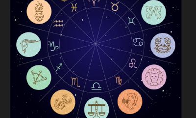 上升摩羯的射手座和上升双鱼座的处女座（射手座能毁掉哪些星座）