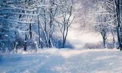 四季轮回的周期叫做年是指（13年是一个轮回吗）