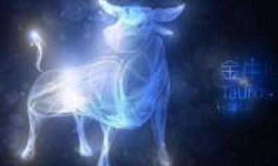 金牛座星座资料（金牛座星座分析）