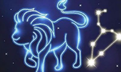 金牛座上升狮子座月亮天蝎座（上升天蝎月亮金牛）