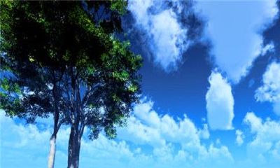 什么星座最懒最笨（12星座最笨的星座）