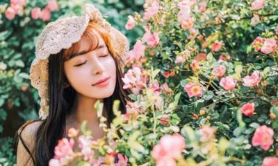 命中不带桃花运是什么意思（八字正缘桃花查询）