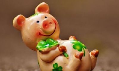 今年属猪岁数（属猪年龄对照表农历）