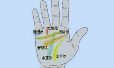 容易陷入三角恋的手相（手心有三角纹的手相）