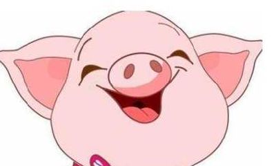 属猪阴历几月最聪明（属猪的几月出生最好命）