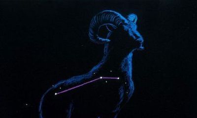 白羊座是理想主义者吗（狮子座是理想主义者吗）