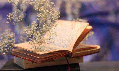 十二星座的能量（十二星座身世）