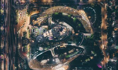 双鱼座女生情感分析（双鱼座感情方面）