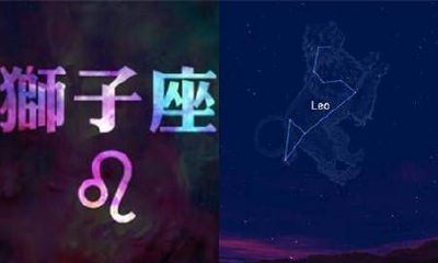 狮子座女生喜欢什么样的爱情（狮子座最爱什么样的女人）