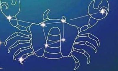 双鱼座是多少年多少月出生的（9月是什么星座）