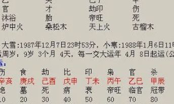 八字十神七杀星详解（十神四柱八字排盘命格）