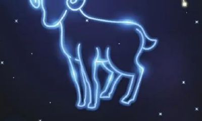 摩羯座的人是不是特别没心没肺（摩羯座突然不理人怎么办）