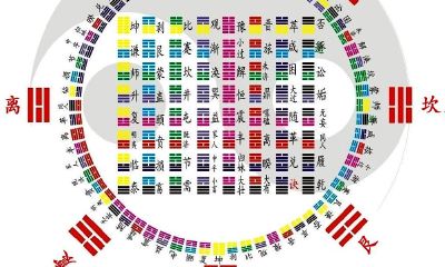 梦到地里的花生叶子都黄了该薅了（射手座男和处女座女配对指数是多少）