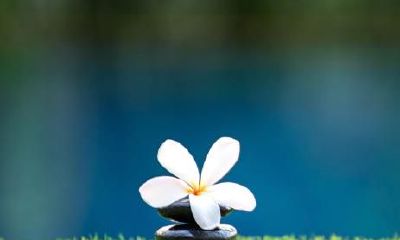 绝处逢生命格一般是什么人（绝处逢生的命格）