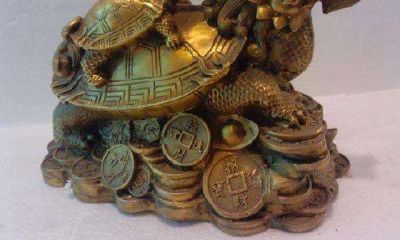 龙龟放在财位（龙龟怎么摆放招财）