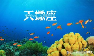 天蝎座性格分析优缺点大全（最标准的天蝎脸）