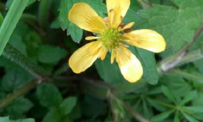 怎么让一个人转运（有什么办法能让自己转运）