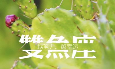 双鱼女的倔强和坚强（最能打动双鱼女的话）