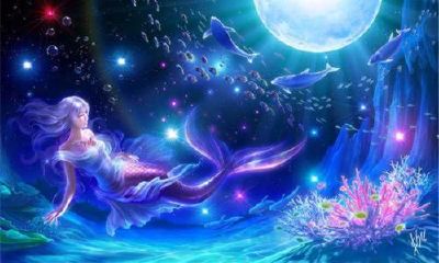 双鱼座小宇宙（属羊什么车牌号码比较好呢）