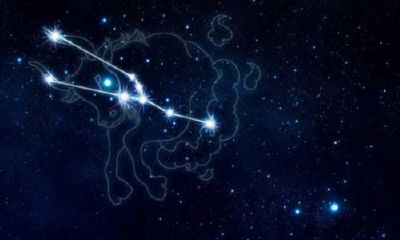 天蝎女会毁了金牛（天蝎女金牛女谁会赢）