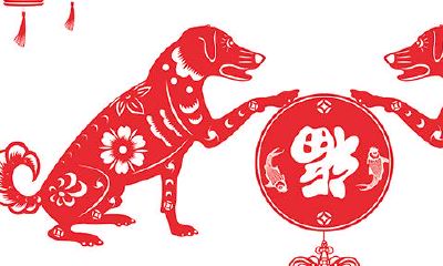 农历五月的狗命运怎么样（属狗出生时辰看命运）