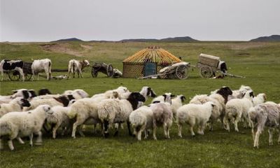 1991年属羊属于五行什么命（1991年3月属羊是什么命）