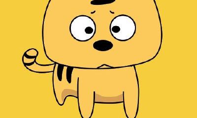 属虎的是哪年出生的人（95属猪女生命中注定要嫁的人）