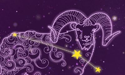 月亮白羊2宫（月亮白羊座女人其实不单纯）