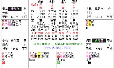 紫微天罗地网详解（天罗地网八字）