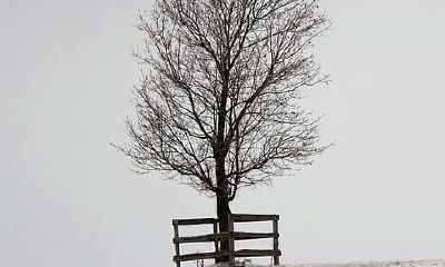 天秤座的性格什么性格（天秤座女生的真实性格）